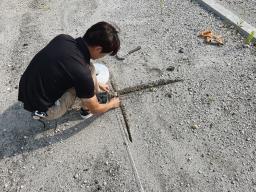 縄張り
...............𖠿𖤣𖤥𓈒𓂂𓂃𓈒𓐍
 