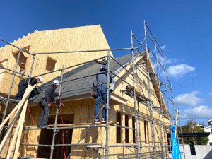 屋根のルーフィング


................................
 