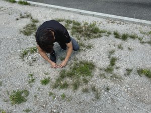 縄張り

................................
 