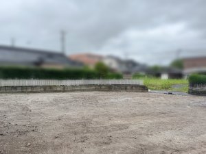 縄張り
................................
 