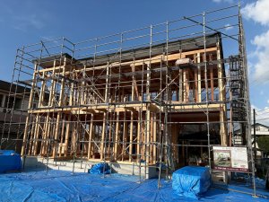 建込み
...............𖠿𖤣𖤥𓈒𓂂𓂃𓈒𓐍
 